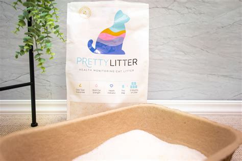 best natural cat litters|The Best Natural Cat Litter of 2024, Tested and Reviewed.